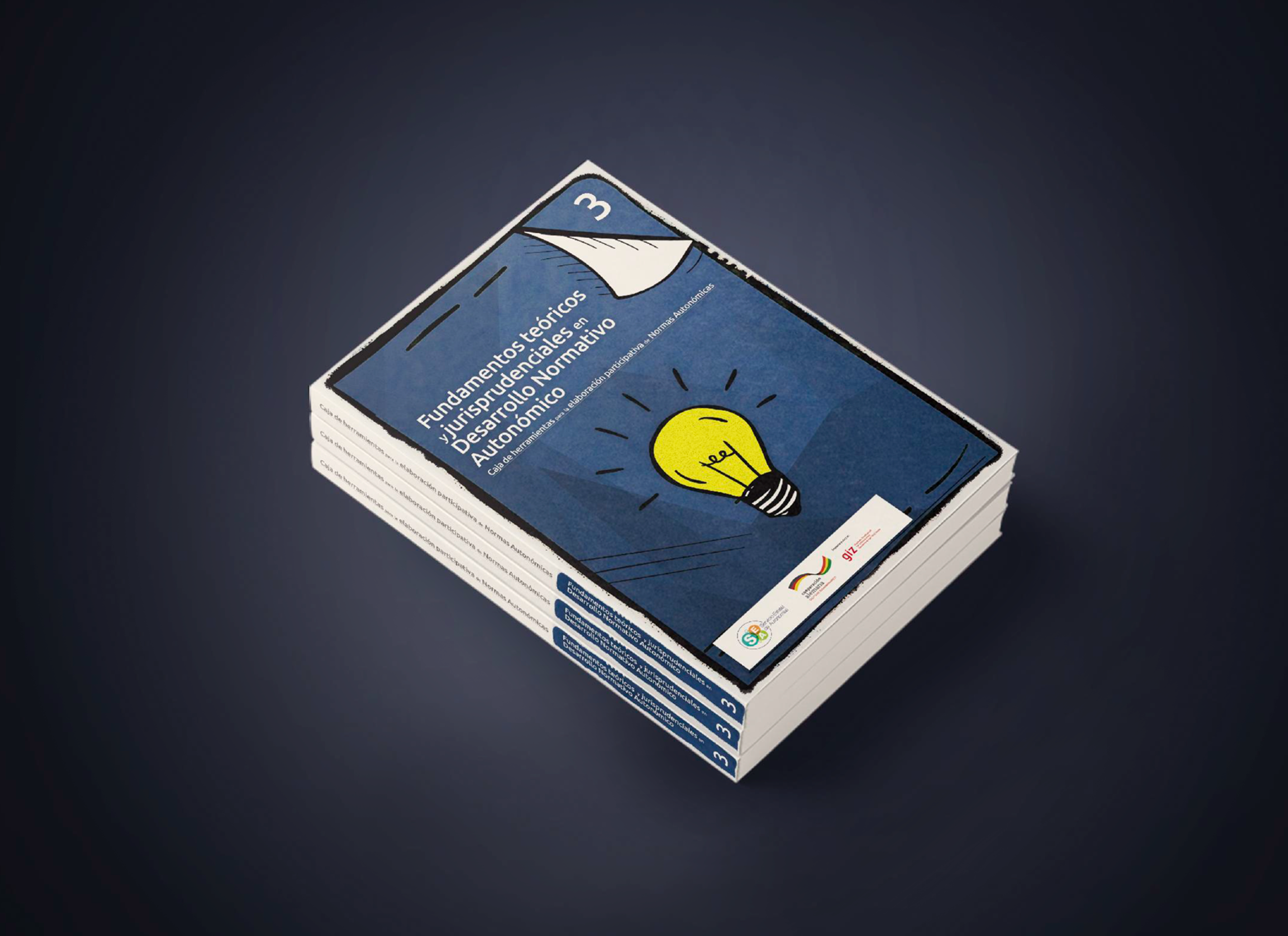 Fundamentos teóricos y jurisprudenciales en desarrollo normativo autonómico - Caja de herramientas para la elaboración participativa de normas autonómicas